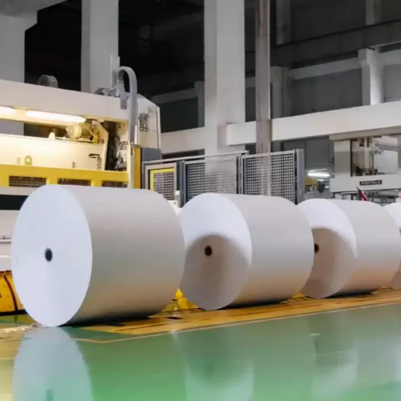Liquid Packaging Board