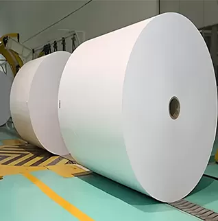 Mg Paper